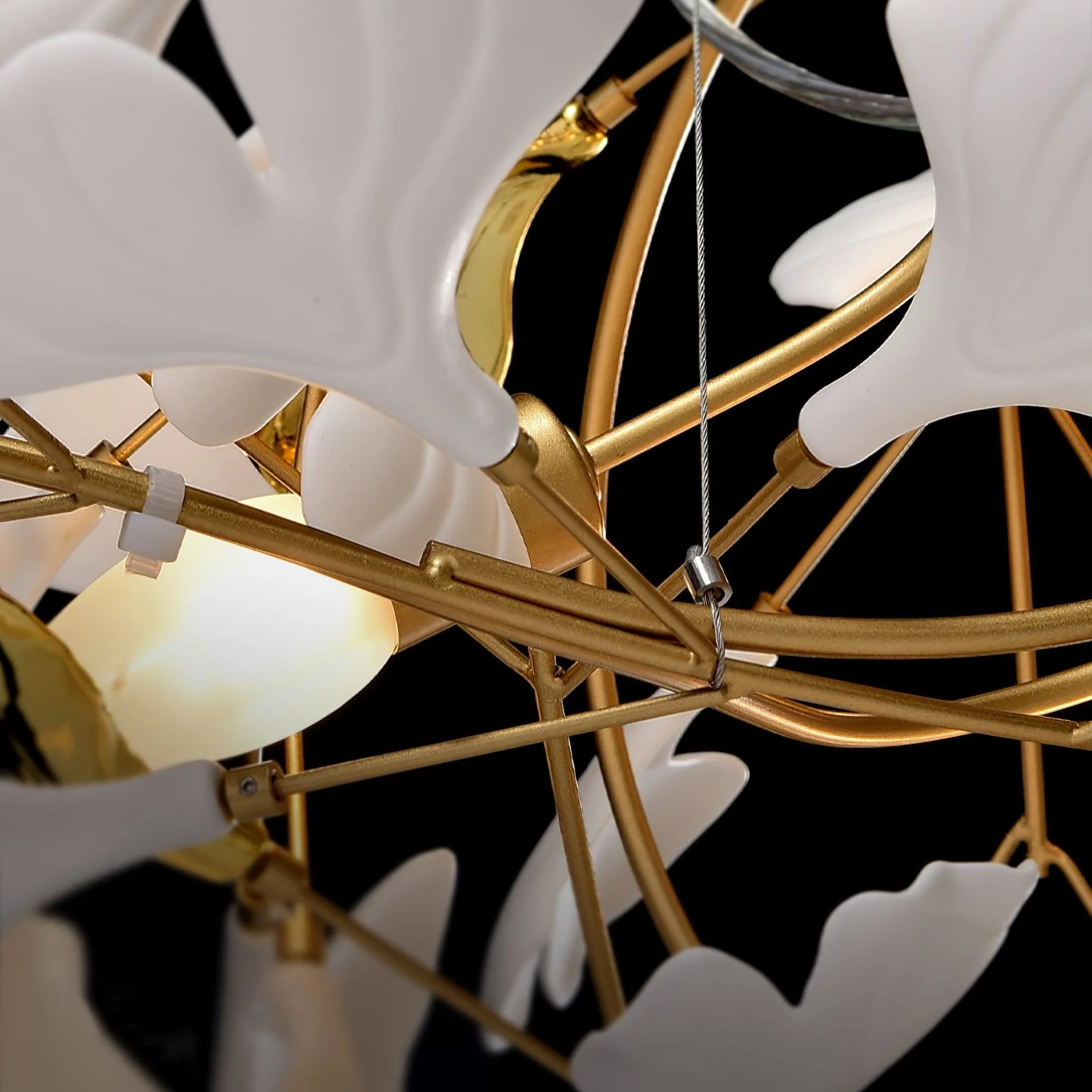 Thumbnail 19