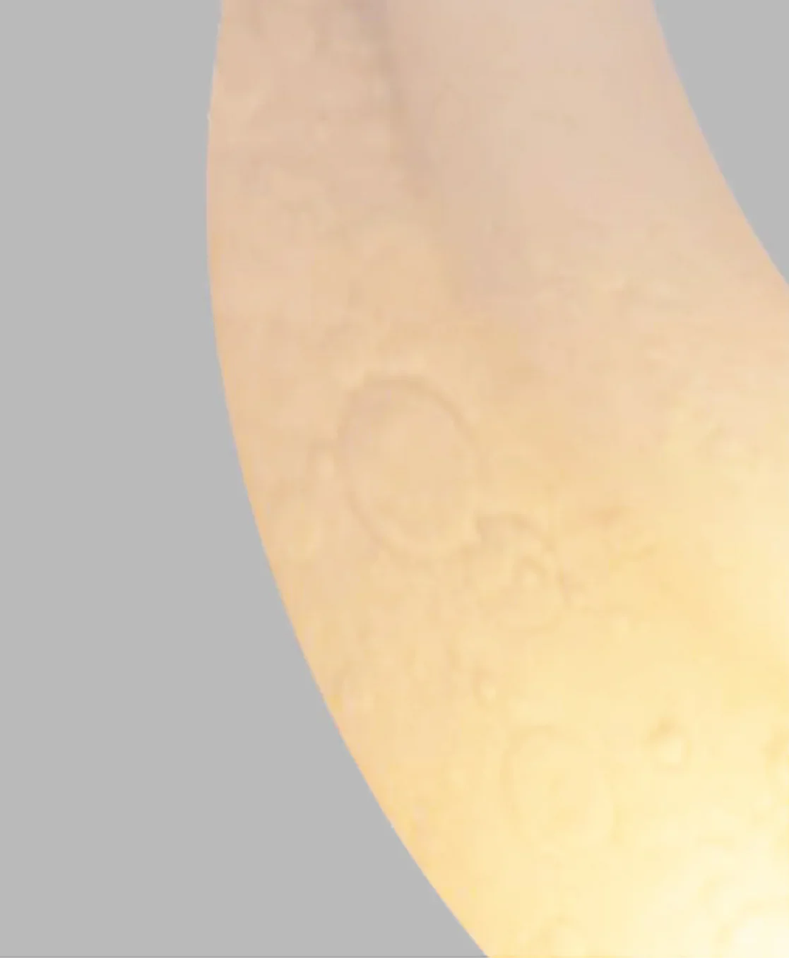 Thumbnail 15